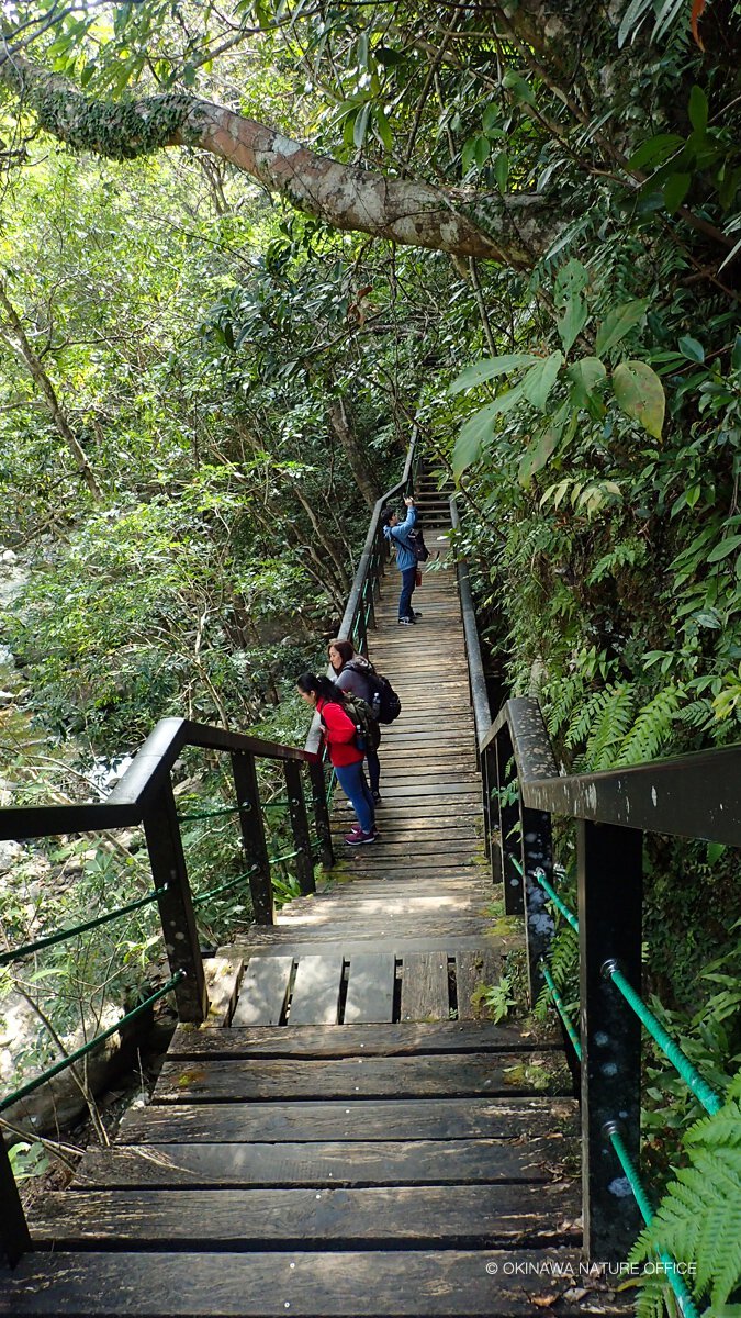比地大滝ガイドツアーの様子 比地大滝ガイドツアーの様子