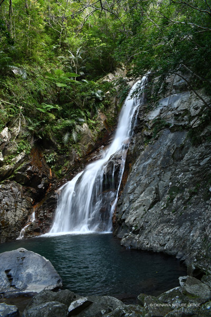 ツアーの詳細 O N O 沖縄ネイチャーオフィス ツアーの詳細 O N O 沖縄ネイチャーオフィス